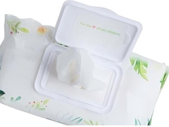 Couvercle de nettoyage humide